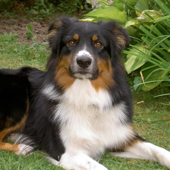 lennox 1